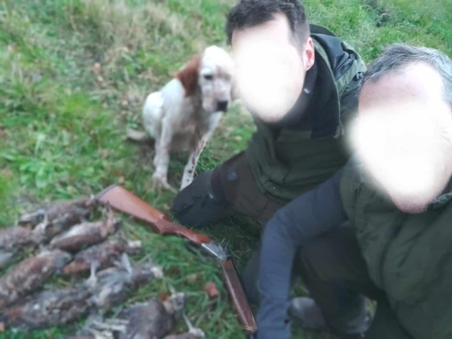 Woodcock hunting Estonia