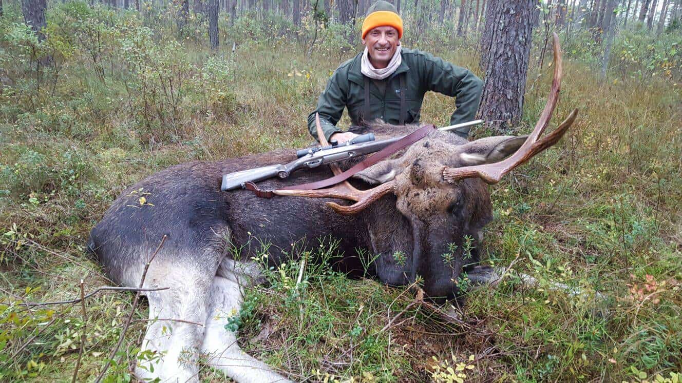 Moose hunting