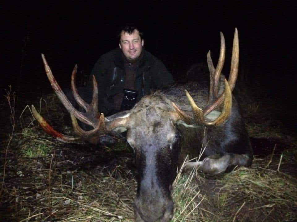 Moose trophy