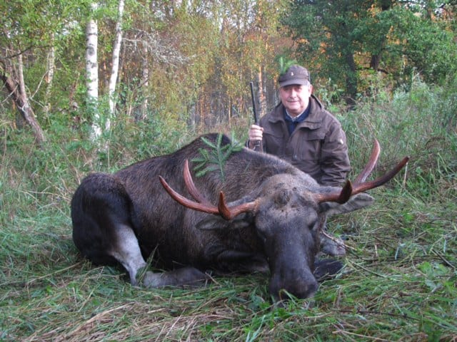 Moose trophy