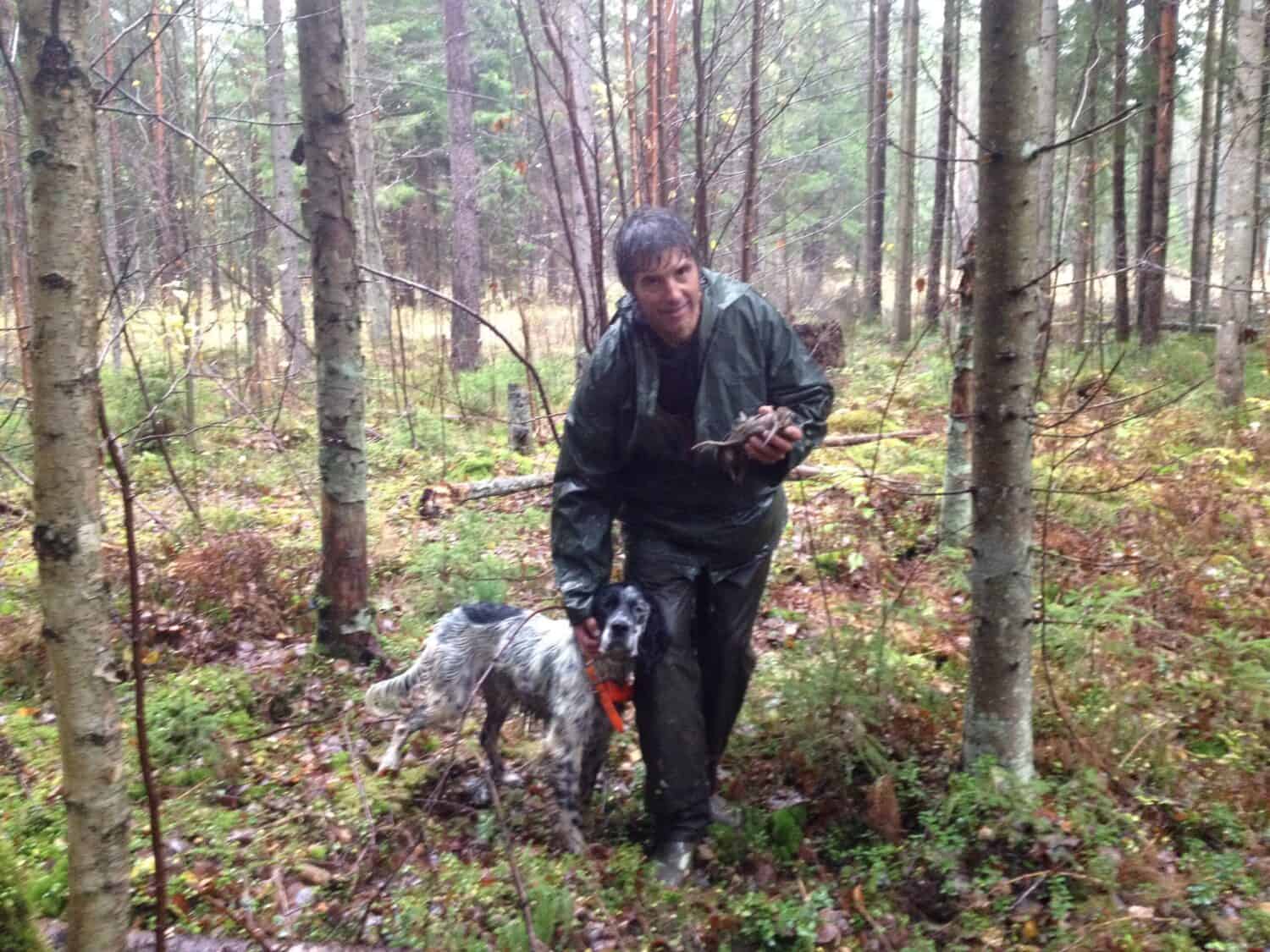 Pointing dog at work