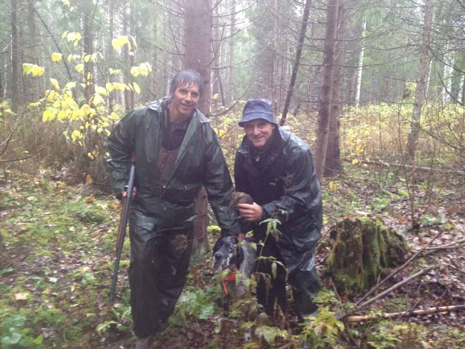 Setter pointing on woodcock