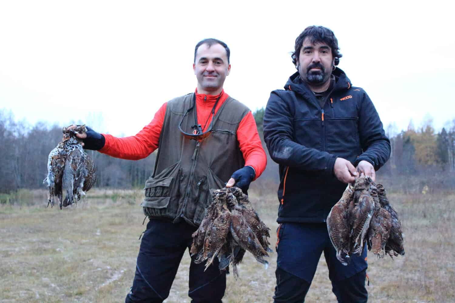 English setter woodcock