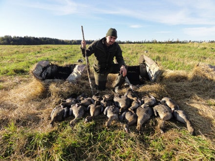 Goose Hunting